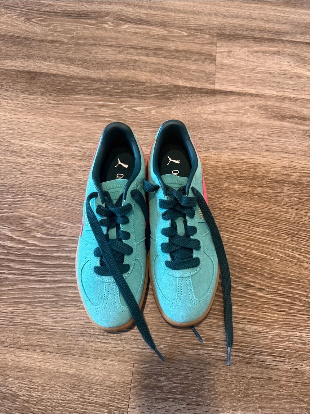 Puma Teal Suede Sneakers with Pink Stripe